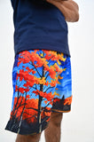 Autumn Shorts